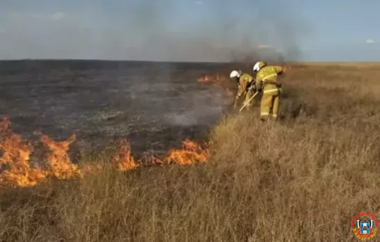 С 11 по 12 мая объявлена чрезвычайная пожароопасность в Ростовской области