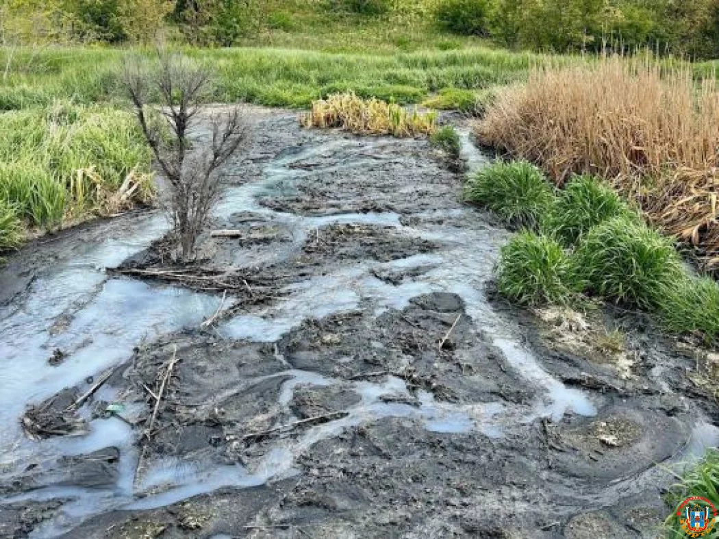 Сбрасывают нечистоты в реку Красного Сулина в Ростовской области