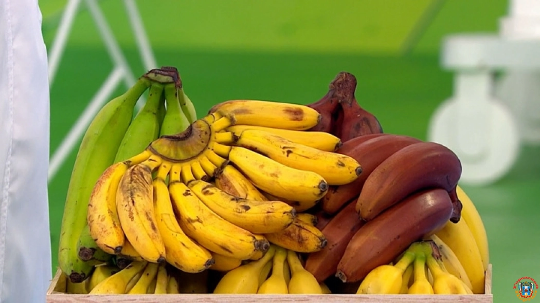Вся правда о пользе бананов