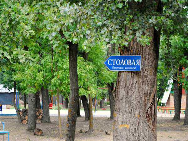Прокурорская проверка в Ростовской области детского лагеря "Лагуна" констатировала полную разруху