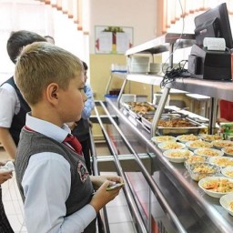 Приватизацию предприятий школьного питания в Ростове отложили до 2024 года