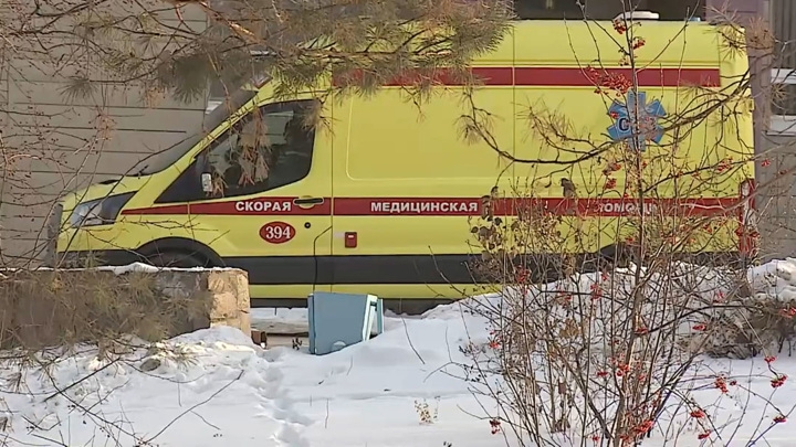 Женщину насмерть загрызли собаки в Ярославской области Женщину насмерть загрызли собаки в Ярославской области