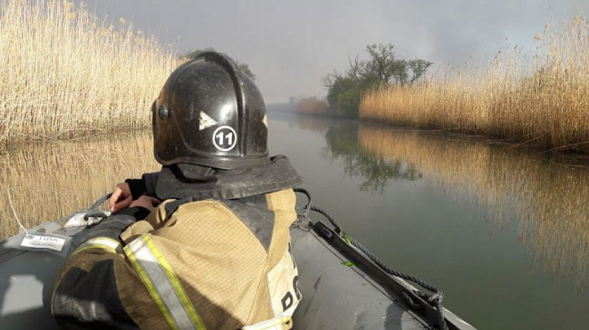 Пожар в природном заповеднике «Донской» локализовали ранним утром