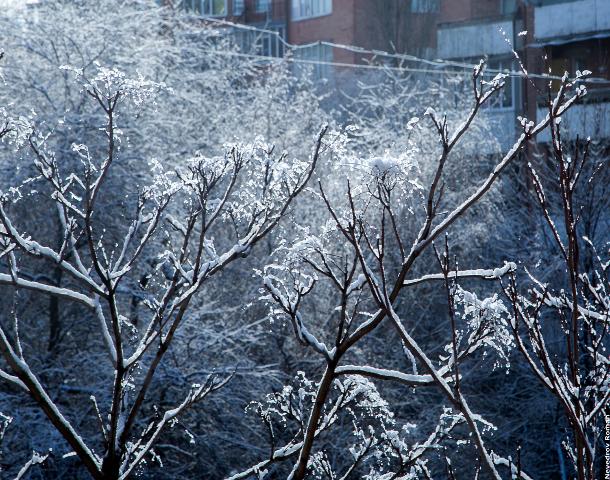 Весна близко: прогноз погоды в Ростове на 27 февраля