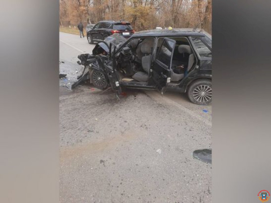 В Ростовской области 2-летняя девочка пострадала в жуткой аварии
