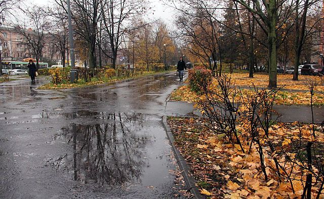 В Ростовской области ожидается резкое потепление до +10 °С