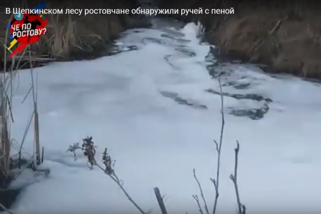 В Щепкинском лесу обнаружили ручей, покрытый пеной