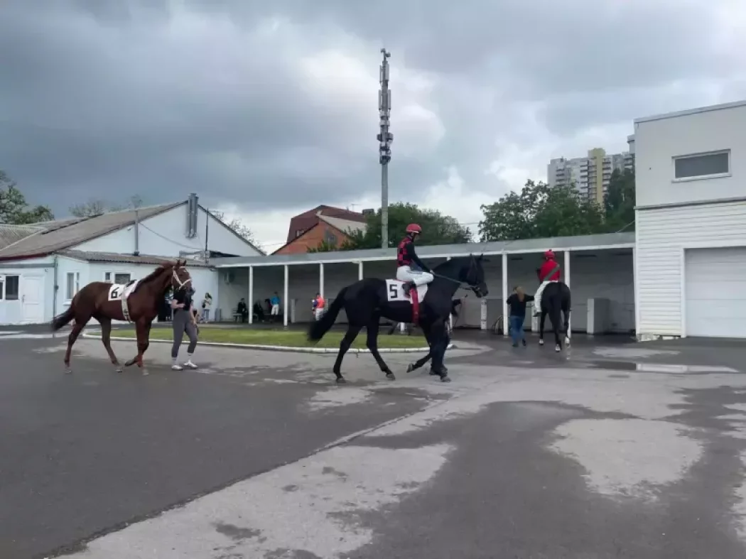 5 тысяч подписей собрала петиция за сохранение Ростовского ипподрома