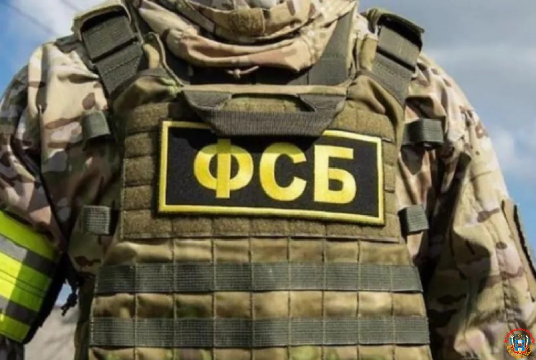Украинца, который незаконно продавал оружие осудили в Ростовской области