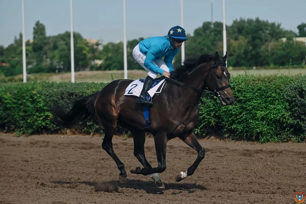 Вопреки судебным тяжбам: Ростовский ипподром готовится к открытию скакового сезона &mdash; 2026
