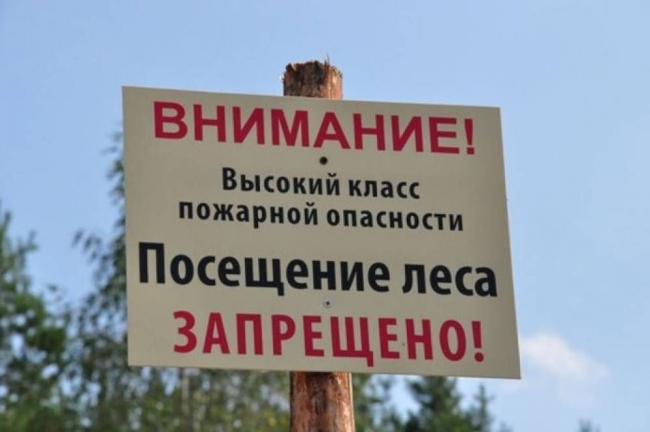 Жителям Ростовской области запретили посещать леса