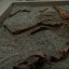 Левенцовская лошадь и хапровский бизон: какие животные гуляли по Ростову миллионы лет назад 2
