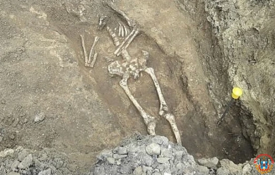 Археолог раскрыл детали раскопок «чумного» захоронения 18 века в центре Ростова