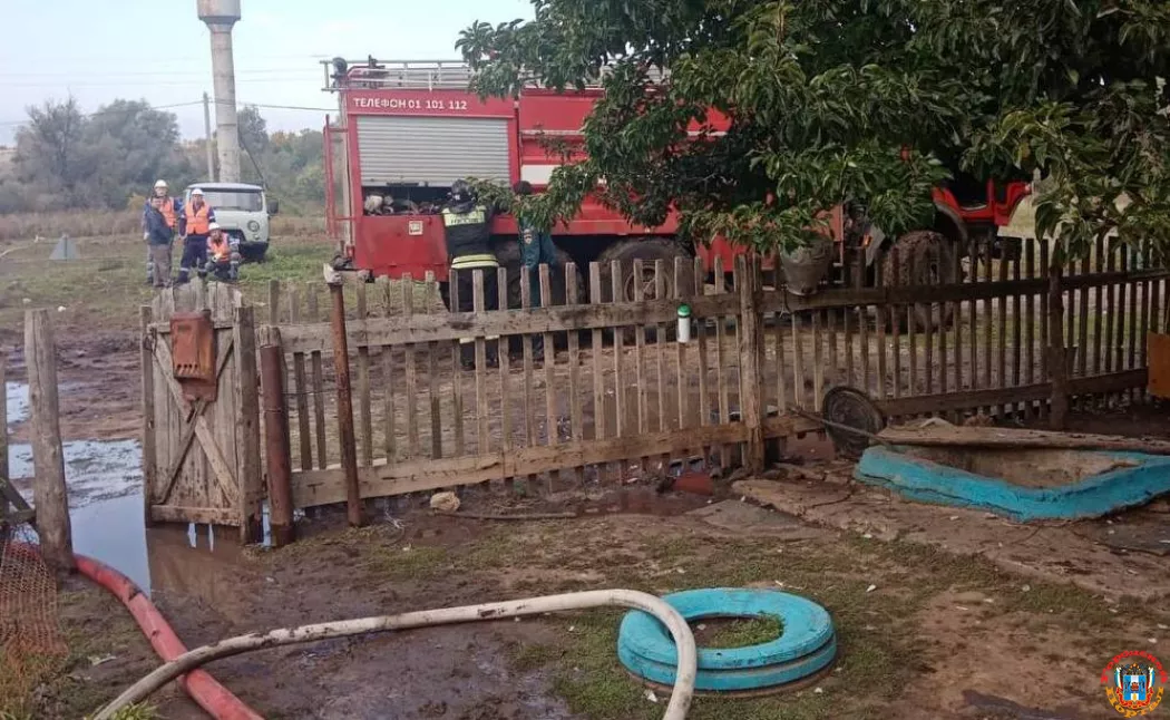 В Ростовской области за лето на пожарах погибли три ребенка