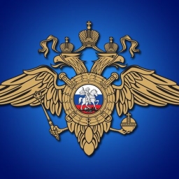 Под соседским присмотром