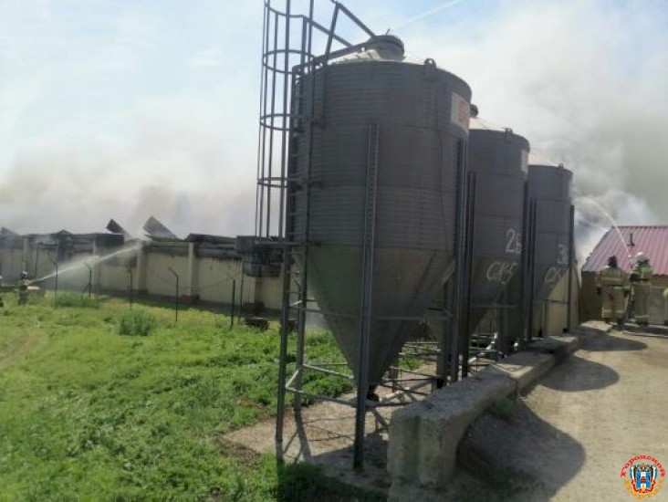 Почти 50 млн рублей оценивают ущерб от пожара на свиноферме в Ростовской области