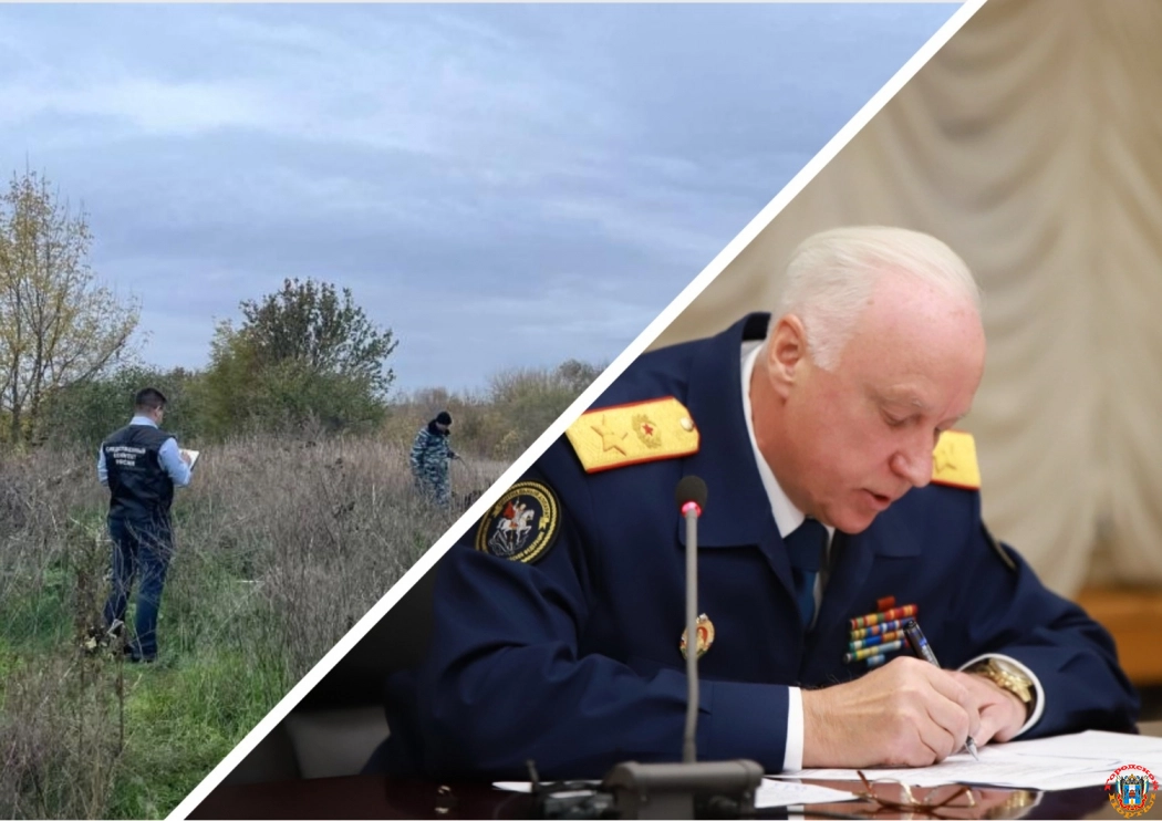 Расследование убийства девочки в Ростовской области взял на контроль председатель СК Бастрыкин