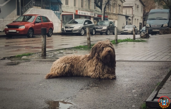 Сильный ветер и дождь ожидаются в Ростове в субботу