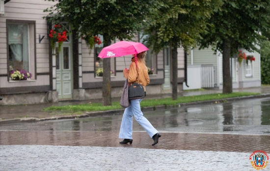 В Ростове ожидается небольшой дождь и пасмурная погода 15 мая