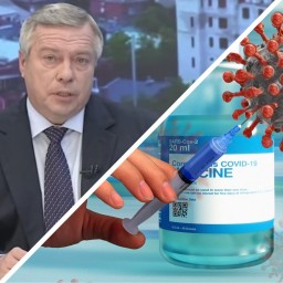 Губернатор Ростовской области положительно оценил темпы вакцинации в регионе