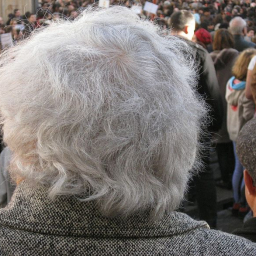 «Журналиста», напавшего на пожилую ростовчанку, подослал адвокат