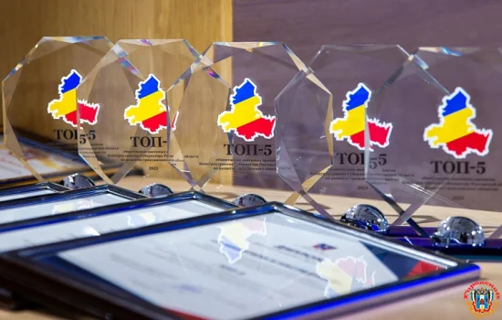 Областные субсидии получат на Дону пять лучших НКО-проектов