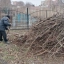 В Ростове месяцами не вывозят мусор с кладбища Мясникован 1