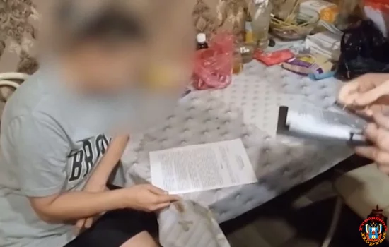 12 лет колонии за госизмену получила жительница Ростовской области