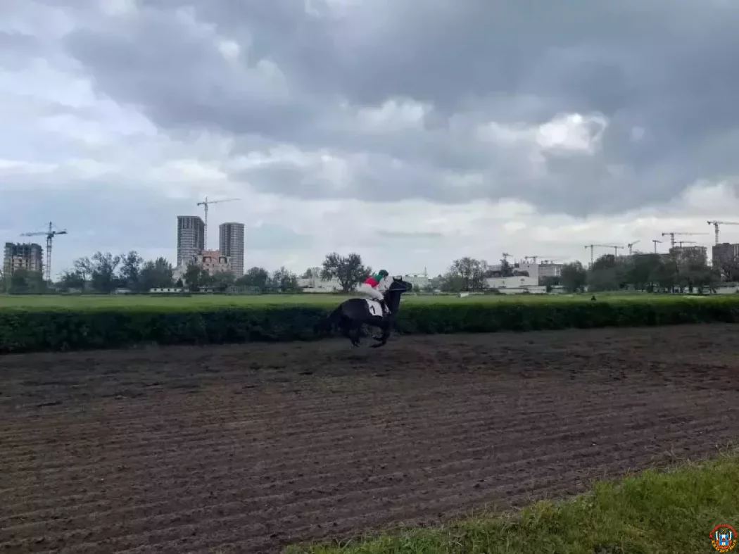 Минимущество оспаривает изменение целевого назначения земель ростовского ипподрома в суде