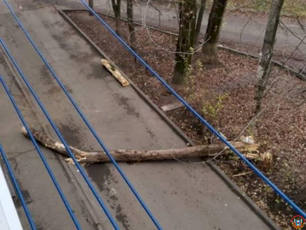 В Ростове упавшее из-за ветра дерево перегородило пожарный проезд