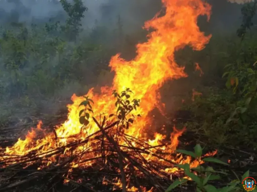 Выжигания сухой растительности запланированы в Железнодорожном районе Ростова
