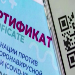 На Урале отменили цифровые сертификаты в общественных местах