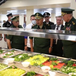 Власти Ростовской области переадресовали генералам критику Шойгу губернатора Голубева