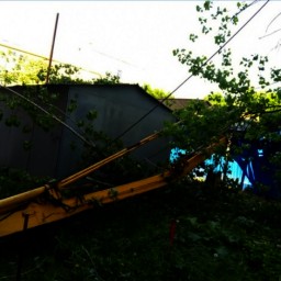 «Наш зеленый район хотят закатать в асфальт»: жильцы дома в Ростове, на который упал кран, пожаловались на соседнюю стройку