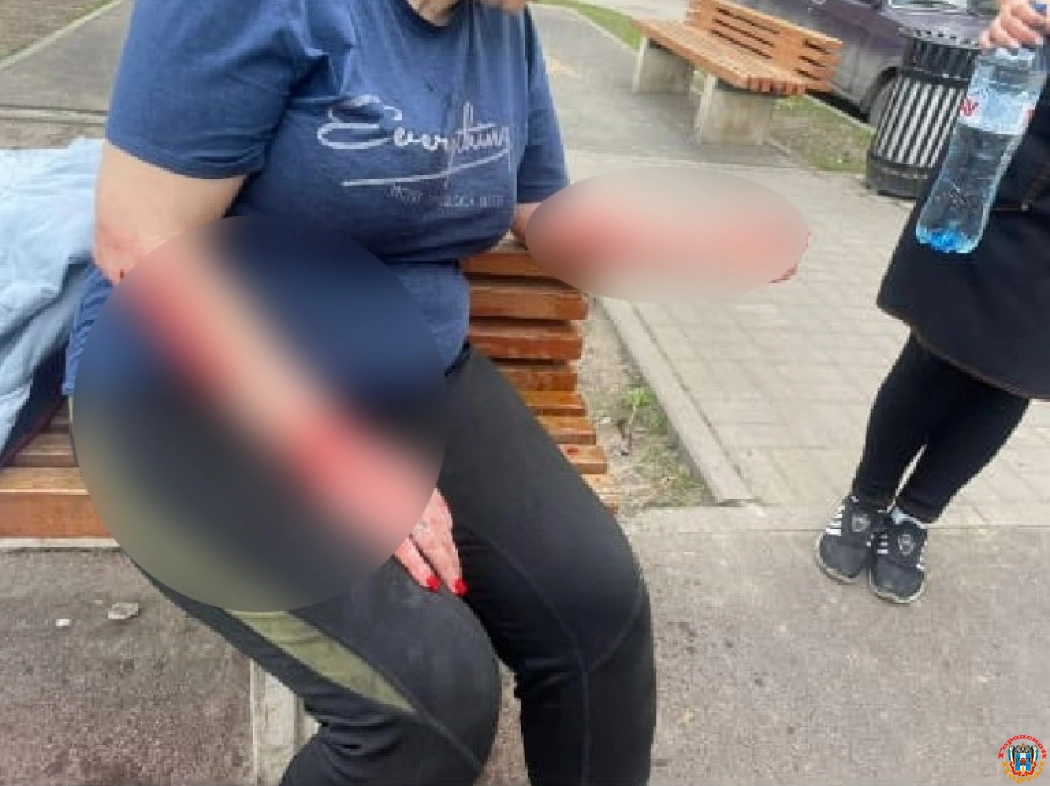 В Новочеркасске собака накинулась на женщину на детской площадке