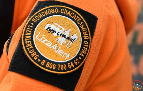 ЛизаАлерт проведет cерию лекций по безопасности для детей