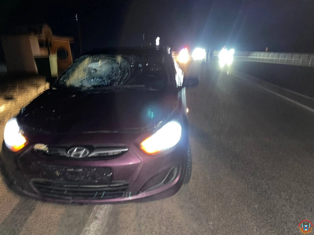 Водитель легковушки сбил пешехода на трассе в Ростовской области