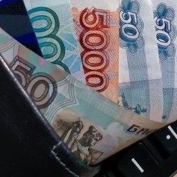 В Алтайском крае больше всех зарабатывают страховщики и финансисты