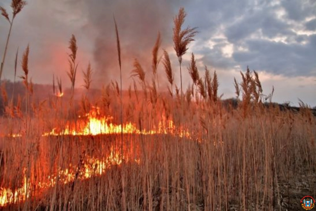 Еще 13 районов Ростовской области – в зоне риска возникновения пожаров