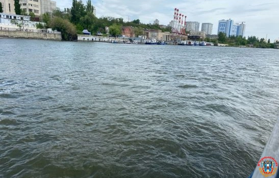 Водоемы Ростова признали самыми грязными в регионе