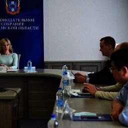 Донские парламентарии обсудили меры поддержки молодежных общественных организаций