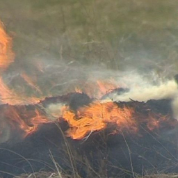 В Песчанокопском районе предприятие оштрафовали за выжигание сухой растительности
