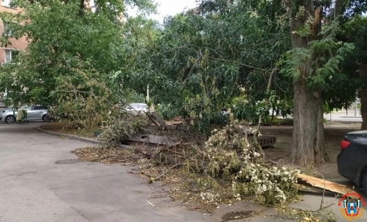 В Ростове упавшее на пенсионерку и машину дерево не убирают больше недели
