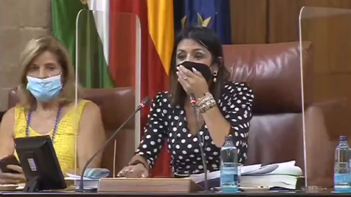 Крыса прервала заседание парламента в Андалусии. Видео