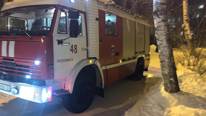 В Красноярском крае четыре ребенка погибли при пожаре