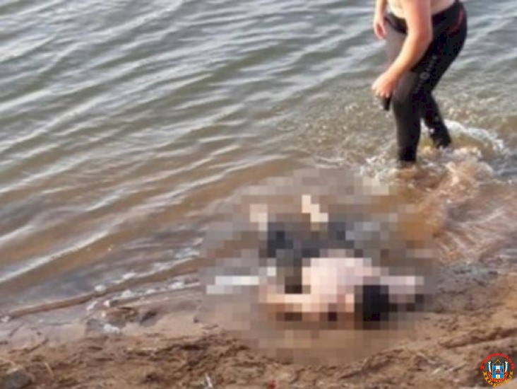В реке Кагальник Ростовской области выловили труп мужчины