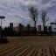 На Зеленом острове в Ростове после благоустройства открыли пляж и парк 4