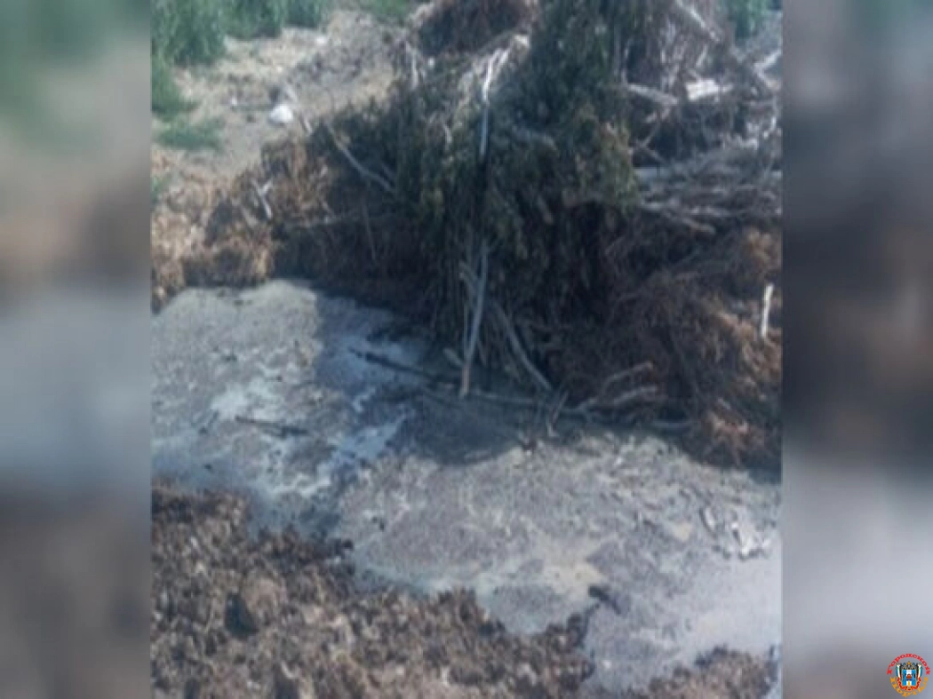 В одном из хуторов Ростовской области нашли свалку с токсичным мусором