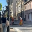 В Ростове на Семашко участок дороги перекрыли из-за ремонта 0