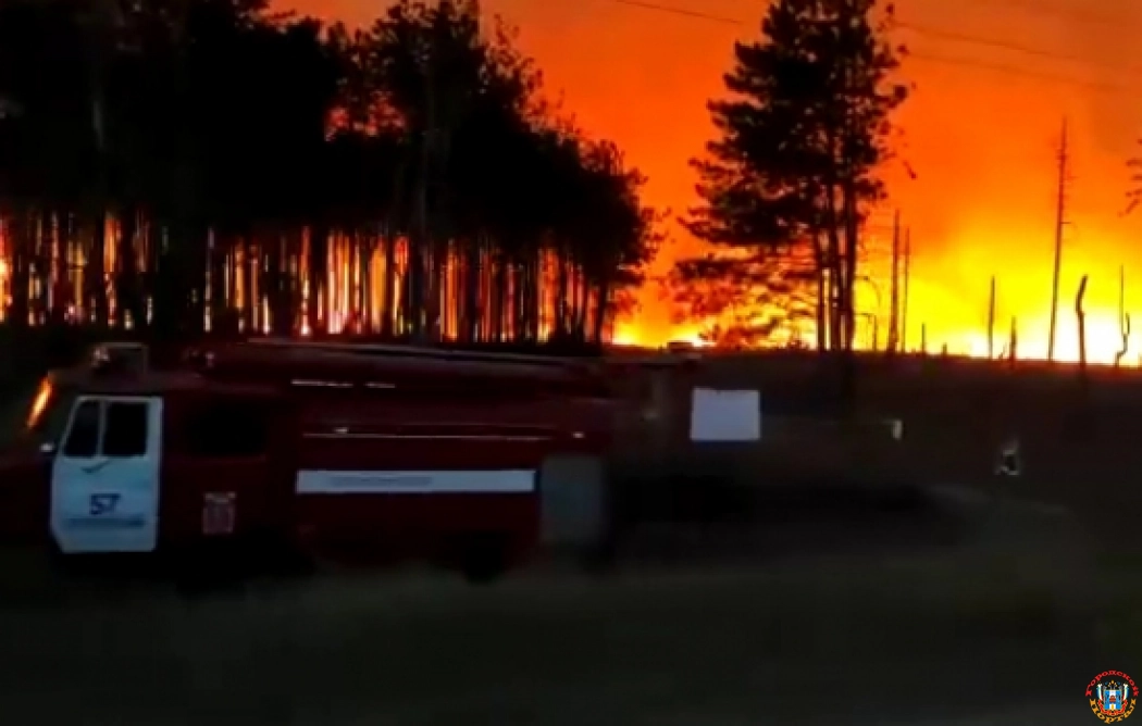 Площадь лесного пожара в Ростовской области увеличилась до 40 га